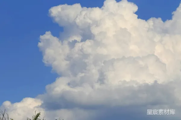 高清摄影 蓝天白云与绿树