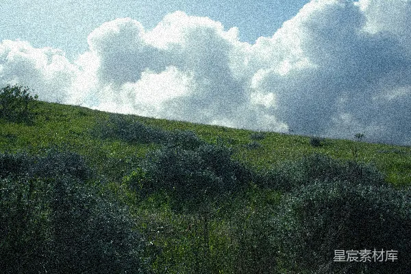 高清摄影 云海与草地