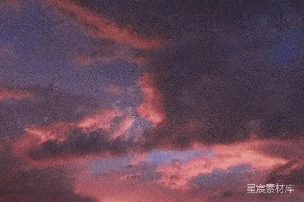高清摄影 夜幕下的树与月亮