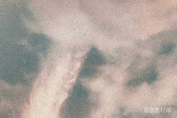 高清摄影 天空中的鸟群