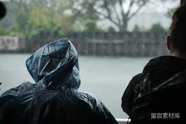高清摄影 雨中同行
