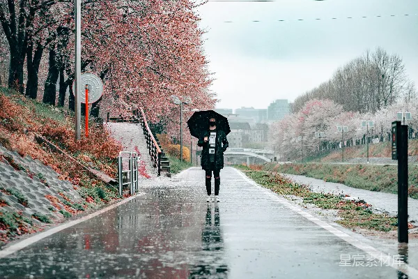 高清摄影 雨中漫步