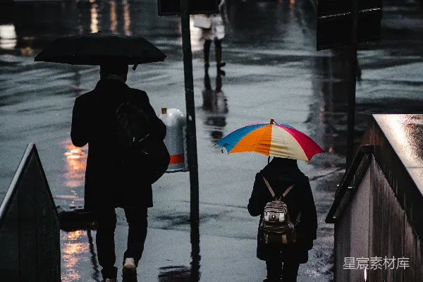 高清摄影 雨中同行
