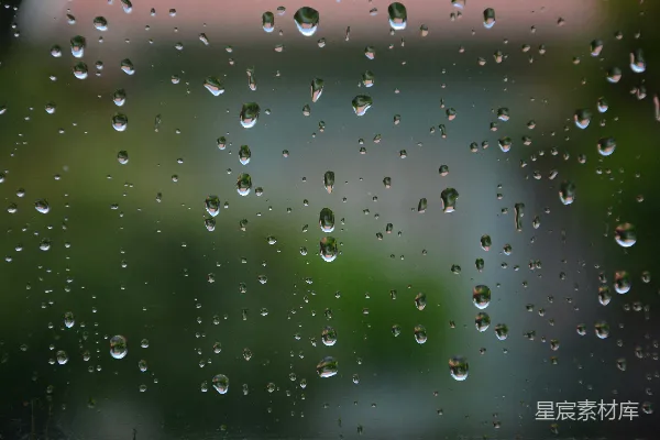 高清摄影 雨滴下的世界