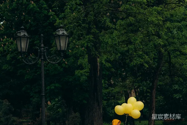 高清摄影 雨中的黄色气球