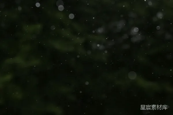 高清摄影 雨夜的光斑