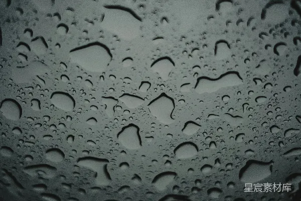 高清摄影 雨滴特写：自然与纹理的完美结合