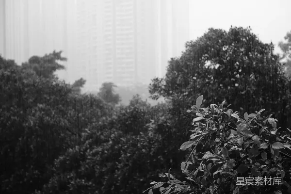 高清摄影 雨中城市