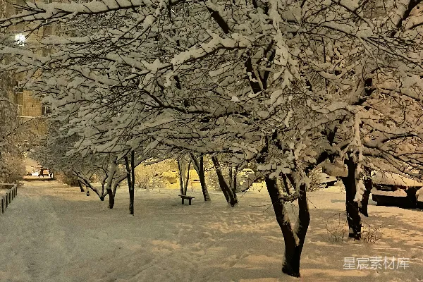 高清摄影 雪后的宁静公园