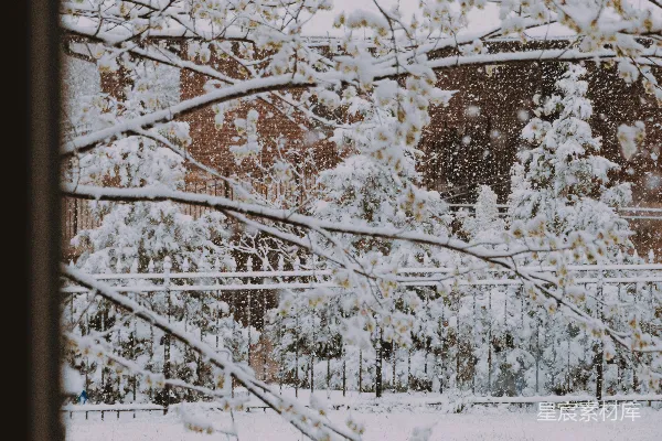 高清摄影 冬日窗景：窗外的雪景