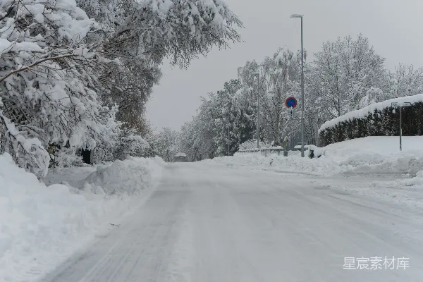 高清摄影 冬日雪景中的宁静小路