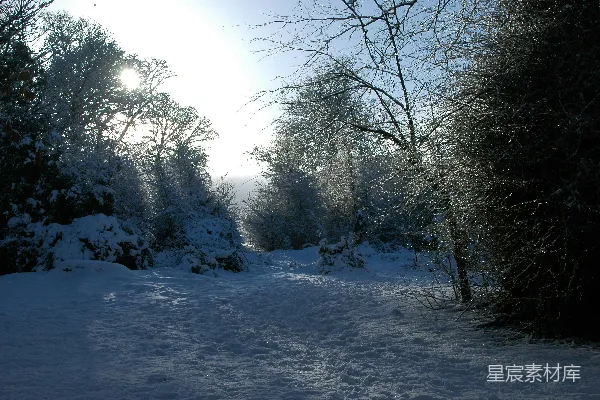 高清摄影 冬日阳光下的雪景