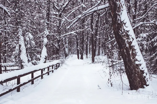 高清摄影 冬日雪景中的木桥