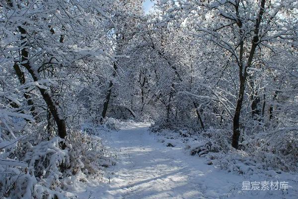 高清摄影 冬日雪路