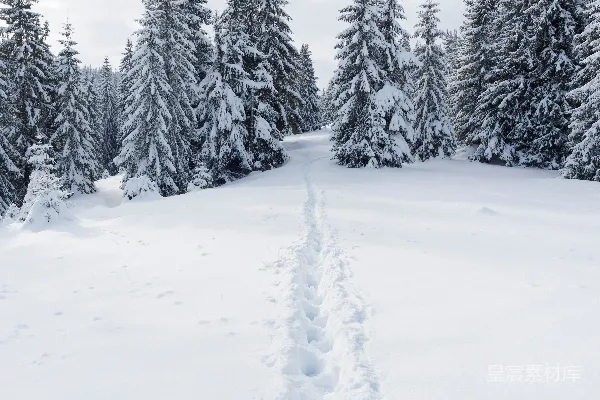高清摄影 雪地小径
