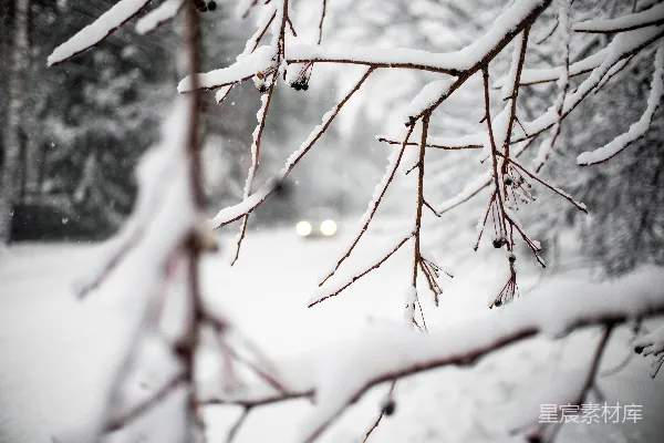 高清摄影 雪中的静谧自然