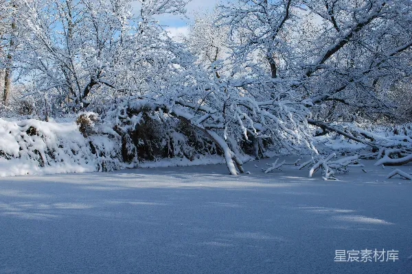 高清摄影 冬日雪景下的静谧河流