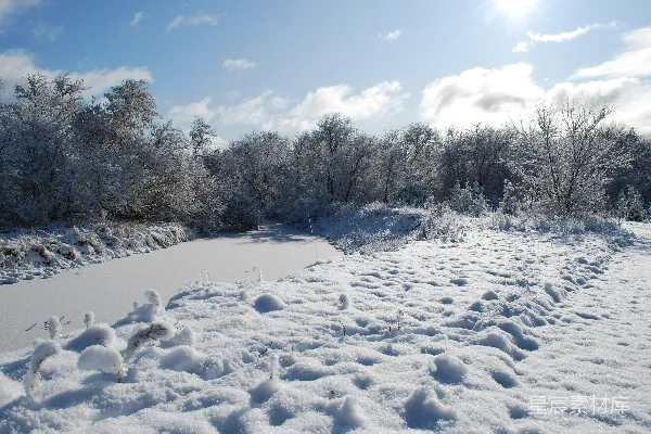 高清摄影 冬日雪景中的宁静小径