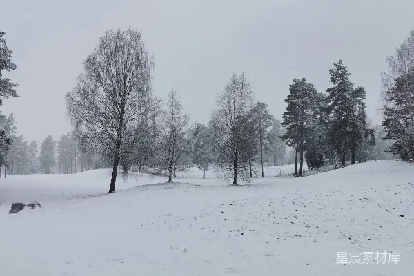 高清摄影 冬日森林雪景