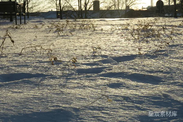 高清摄影 冬日暖阳下的雪地