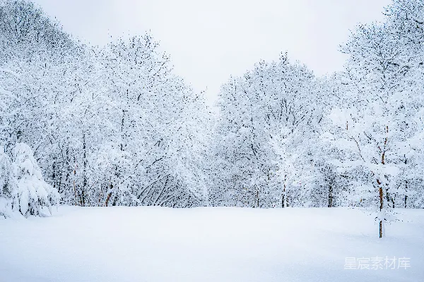 高清摄影 冬日雪景