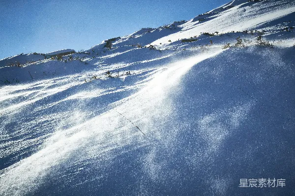 高清摄影 雪地上的光影交错