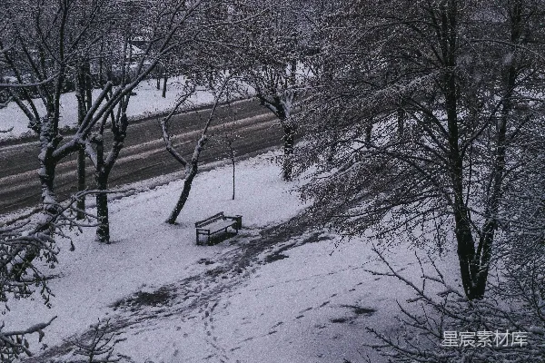 高清摄影 冬日雪景中的静谧公园