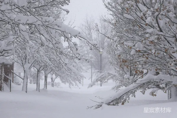 高清摄影 雪后宁静的公园