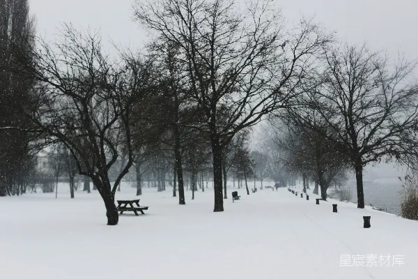 高清摄影 冬日雪景中的公园小径