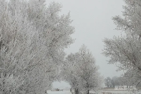 高清摄影 冬日雪景中的乡村小路