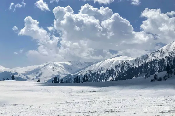 高清摄影 雪山下的宁静营地