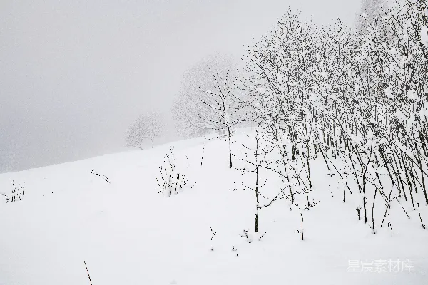 高清摄影 冬日雪景
