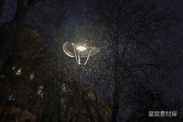 高清摄影 夜色中的路灯与飘雪