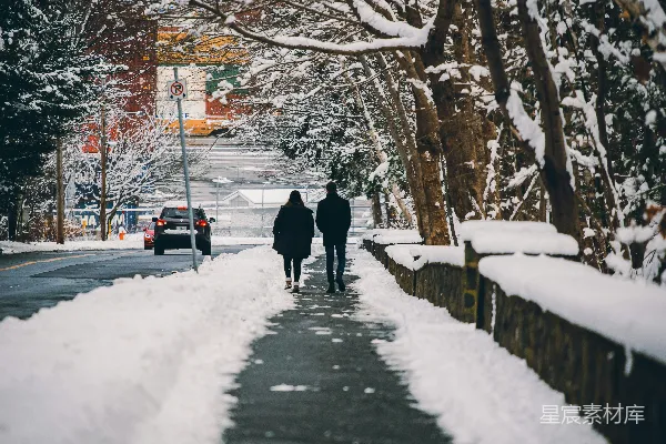 高清摄影 冬日漫步的雪景