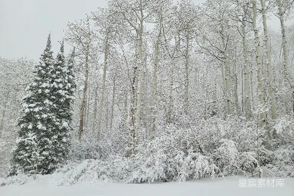 高清摄影 冬日雪景