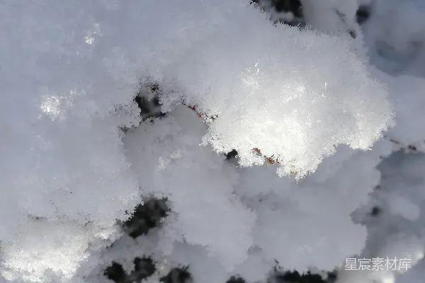高清摄影 冬日雪景中的冰晶