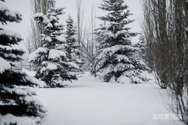 高清摄影 冬日雪景