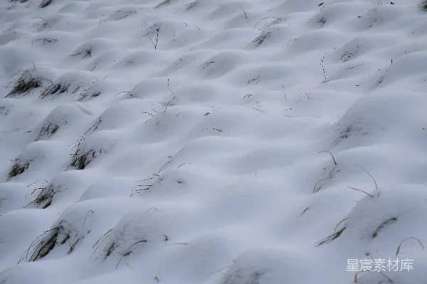 高清摄影 雪地上的足迹