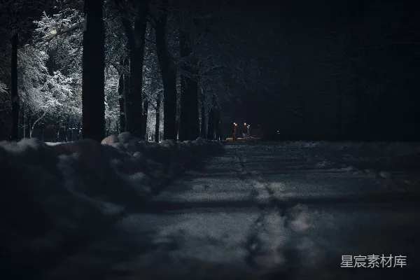 高清摄影 冬夜雪地小径