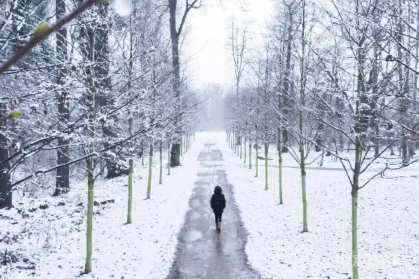 高清摄影 冬日雪景中的孤独小径