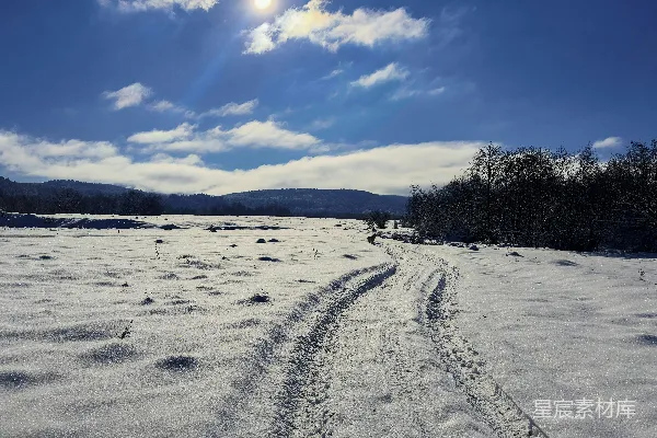 高清摄影 冬日雪地小径