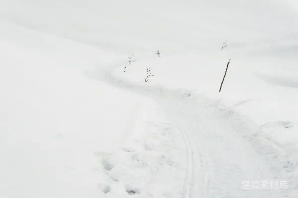 高清摄影 雪地中的痕迹