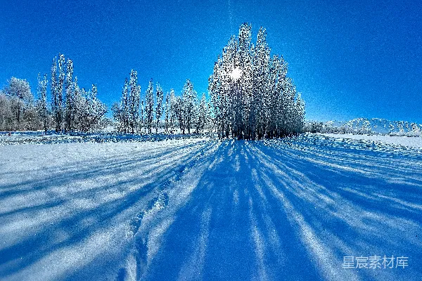 高清摄影 冬日雪景：阳光下的树影