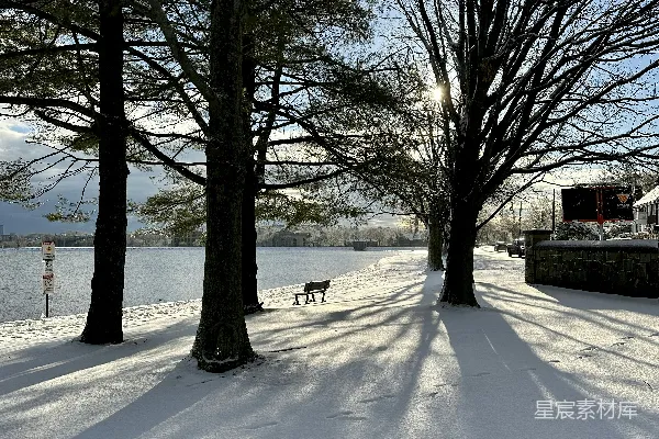 高清摄影 冬日湖畔雪景