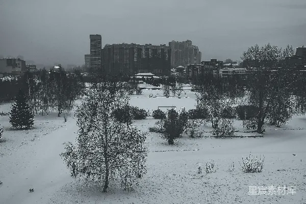 高清摄影 冬日雪景中的城市与孤独树