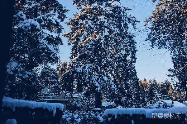 高清摄影 冬日雪景