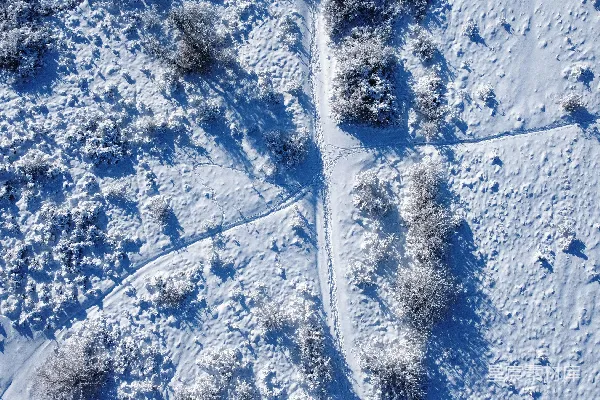 高清摄影 雪地小径