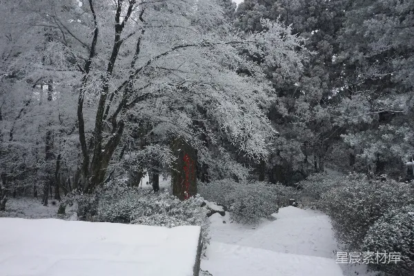 高清摄影 冬日林间雪景