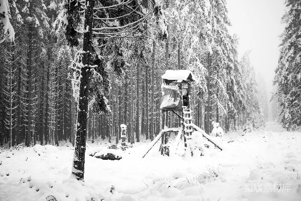 高清摄影 冬日雪林中的猎人小屋