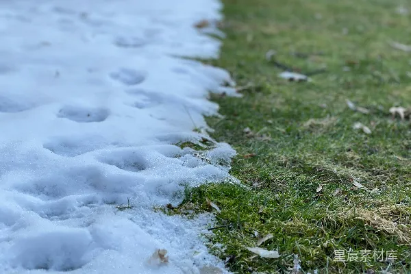 高清摄影 初春的雪地
